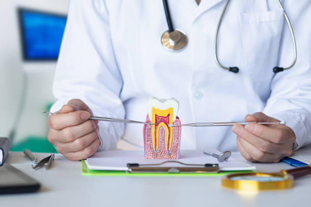 Best Urgent Tooth Repair  in Charlevoix, MI